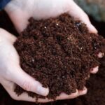 mixing compost with topsoil