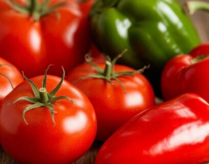fertilizer for tomatoes and peppers