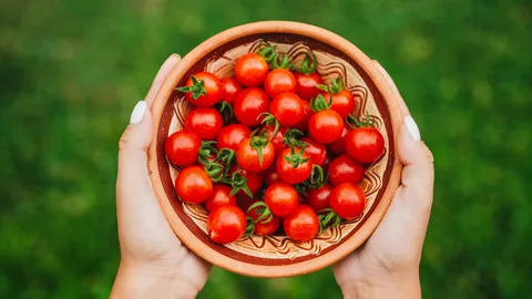 Fresh cherry tomatoes in a wooden bowl held by hands outdoors for tomato gardening blog.