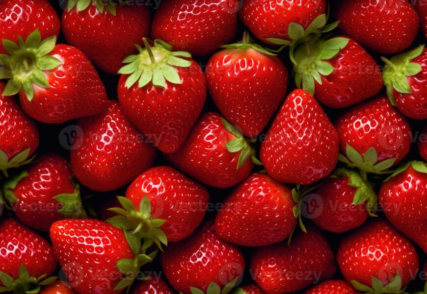 Freshly harvested ripe red strawberries from grow bag plants
