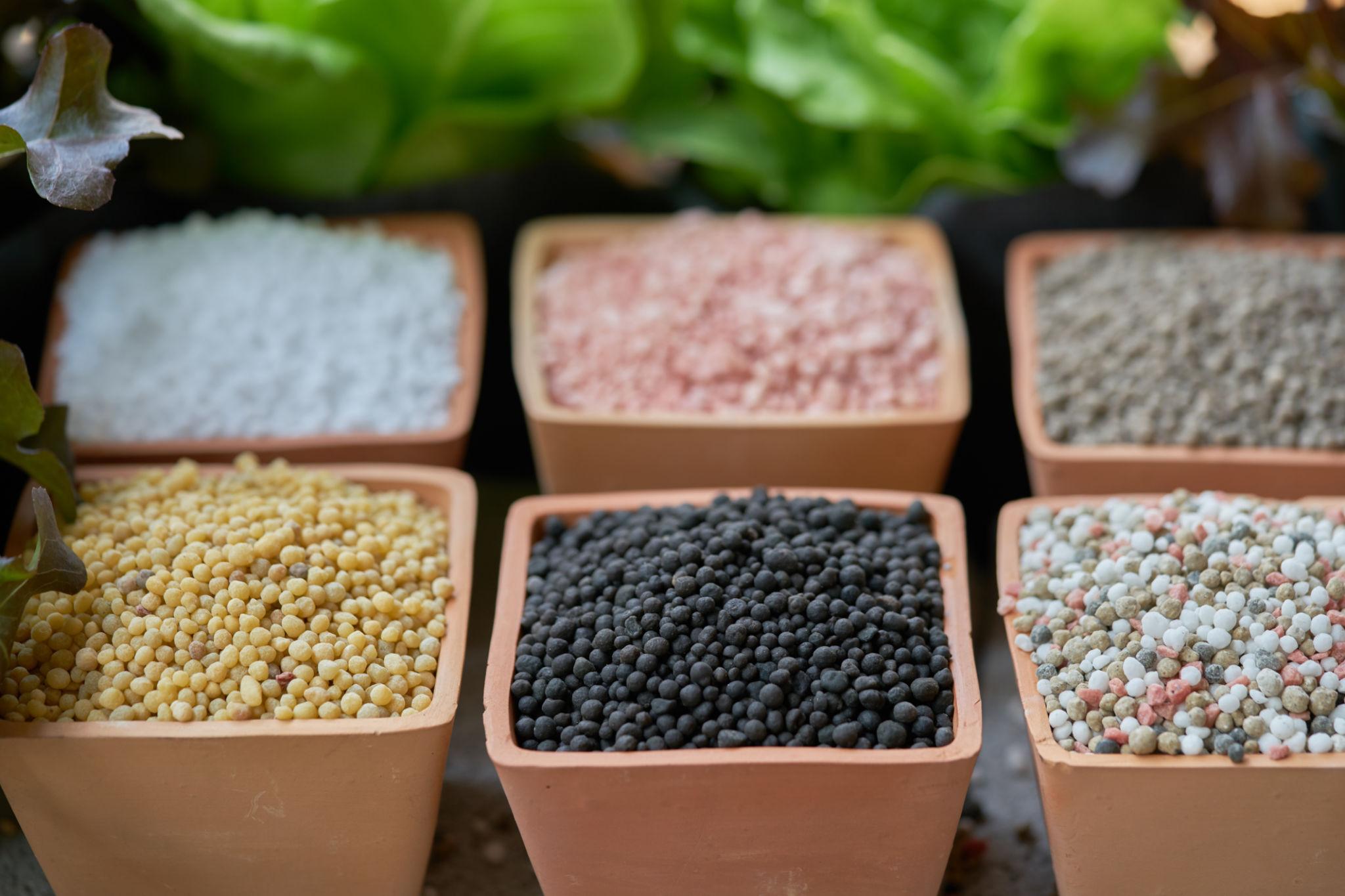 Fertilizer Rich in Nitrogen