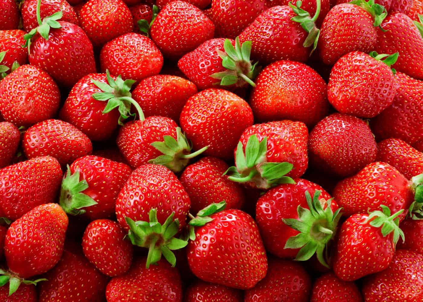Basket-style display of ripe strawberries harvested from grow bag gardening