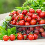 Basket full of ripe cherry tomatoes with green leaves in a garden setting.