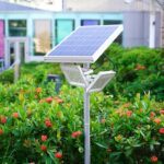 Solar powered outdoor garden light with panel on pole surrounded by vibrant flowers