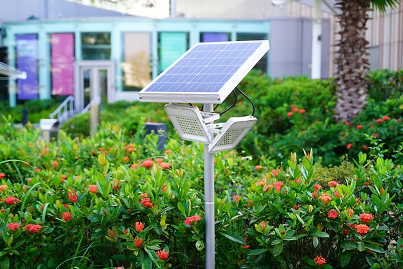 Solar powered outdoor garden light with panel on pole surrounded by vibrant flowers