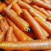 Fresh harvested heat tolerant carrots piled together after growing successfully in hot summer weather.