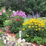 Bright perennial flower garden in Michigan with blooming flowers, rocks, and healthy green landscaping.