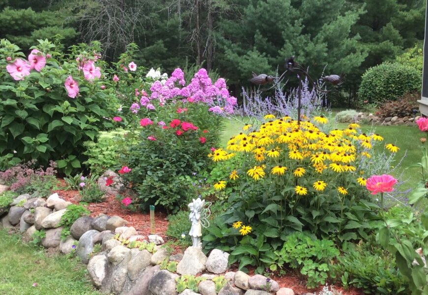 Bright perennial flower garden in Michigan with blooming flowers, rocks, and healthy green landscaping.