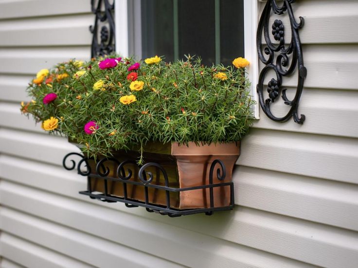 Colorful drought tolerant window box plants growing in a rustic porch window box with minimal watering requirements.
