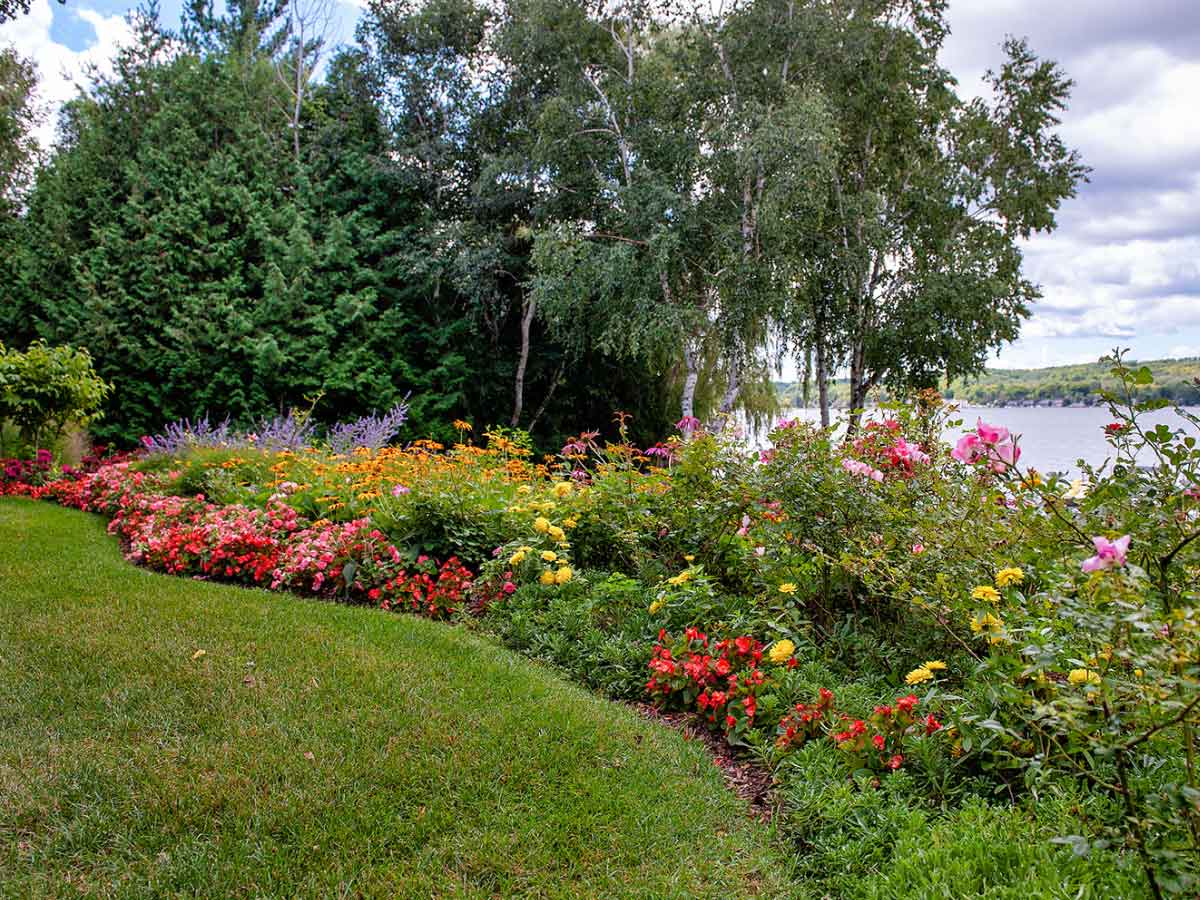 Beautiful landscaped Michigan garden with colorful flower borders and healthy trees in summer.