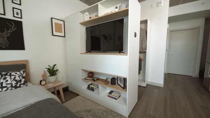 Small apartment living room with wall-mounted TV storage unit and hidden shelving for compact organization.