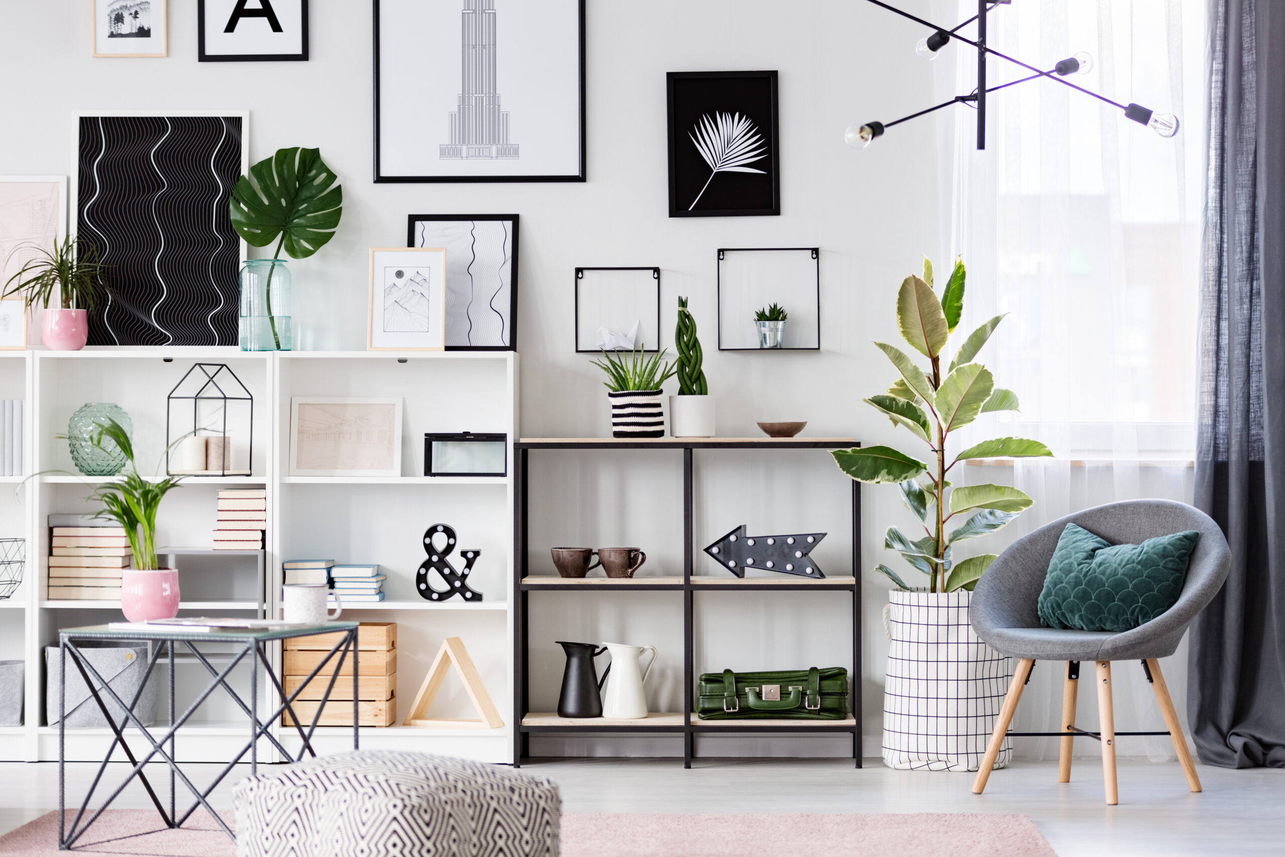 Modern apartment organization shelves with plants, books, and minimalist storage decor in a bright living room.