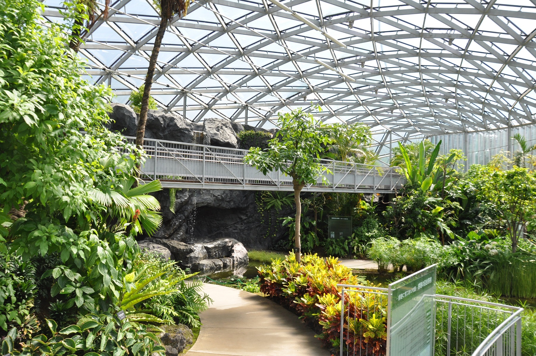 Large botanical greenhouse using natural sunlight and solar-powered lighting for eco-friendly indoor gardening.